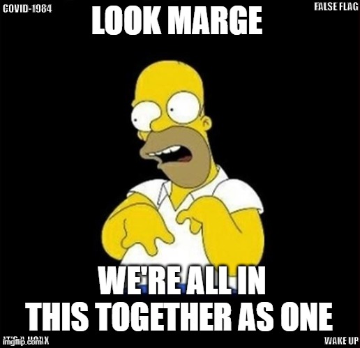 covid-1984 false flag hoax | FALSE FLAG; COVID-1984; LOOK MARGE; WE'RE ALL IN THIS TOGETHER AS ONE; IT'S A HOAX; WAKE UP | image tagged in homer,1984,covid-19,coronavirus,repent,together | made w/ Imgflip meme maker