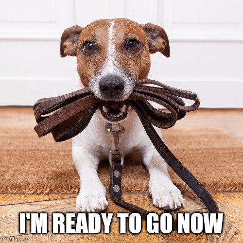 I'M READY TO GO NOW | made w/ Imgflip meme maker