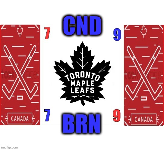 A Fan Flag ?? | CND | image tagged in cnd brn,canadian,hockey | made w/ Imgflip meme maker