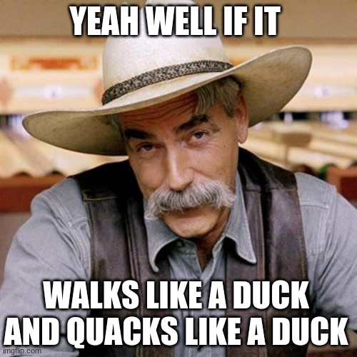 SARCASM COWBOY | YEAH WELL IF IT WALKS LIKE A DUCK AND QUACKS LIKE A DUCK | image tagged in sarcasm cowboy | made w/ Imgflip meme maker