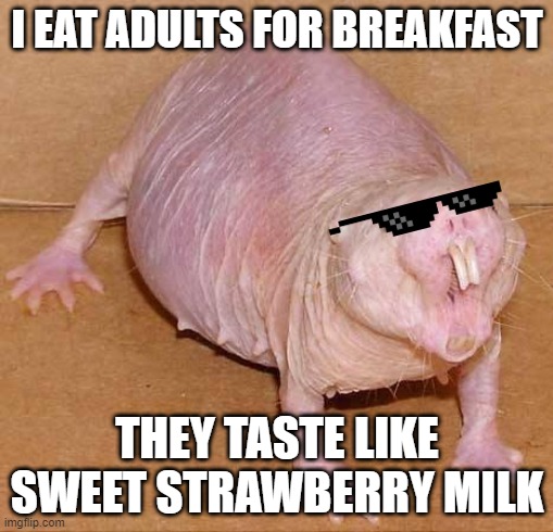 naked mole rat |  I EAT ADULTS FOR BREAKFAST; THEY TASTE LIKE SWEET STRAWBERRY MILK | image tagged in naked mole rat | made w/ Imgflip meme maker