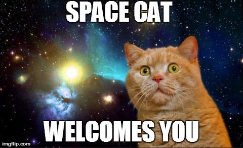 image tagged in space cat,funny,space,cats,animals,internet | made w/ Imgflip meme maker