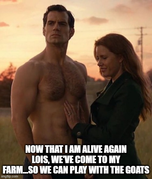 Lois and Clark | NOW THAT I AM ALIVE AGAIN LOIS, WE'VE COME TO MY FARM...SO WE CAN PLAY WITH THE GOATS | image tagged in superman | made w/ Imgflip meme maker