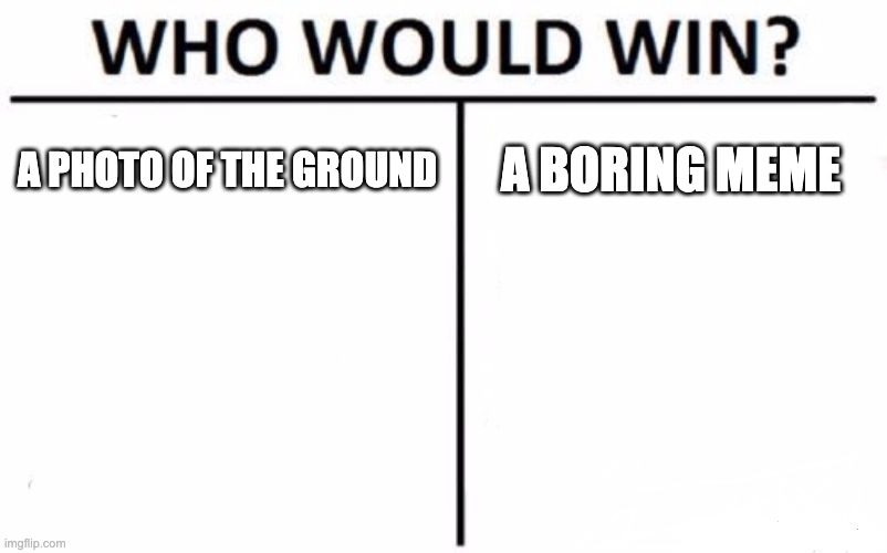 A PHOTO OF THE GROUND A BORING MEME | image tagged in memes,who would win | made w/ Imgflip meme maker