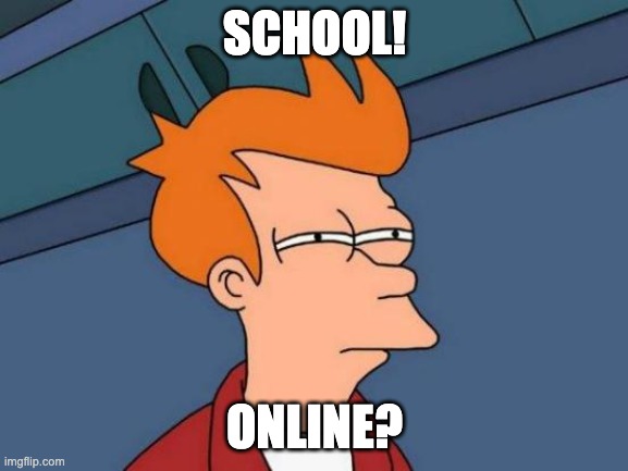 Futurama Fry | SCHOOL! ONLINE? | image tagged in memes,futurama fry | made w/ Imgflip meme maker