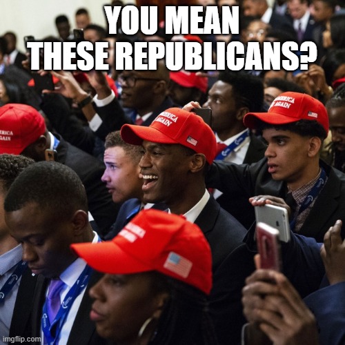 YOU MEAN THESE REPUBLICANS? | made w/ Imgflip meme maker