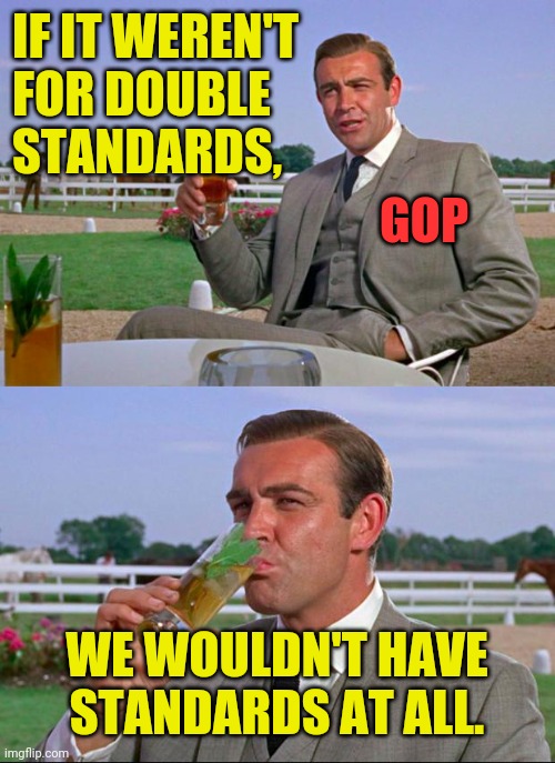 Why can't you be more like the Democrats? | IF IT WEREN'T
FOR DOUBLE
STANDARDS, GOP; WE WOULDN'T HAVE STANDARDS AT ALL. | image tagged in sean connery  kermit,memes,true story,conservative i dont think so,double standards | made w/ Imgflip meme maker