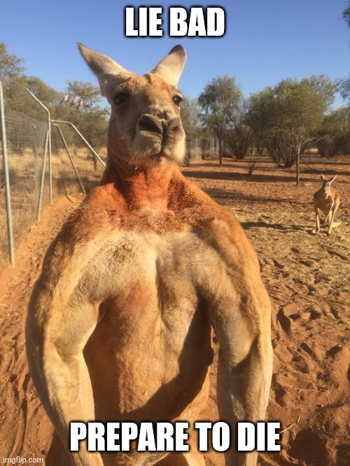 LIE BAD PREPARE TO DIE | image tagged in badass kangaroo | made w/ Imgflip meme maker