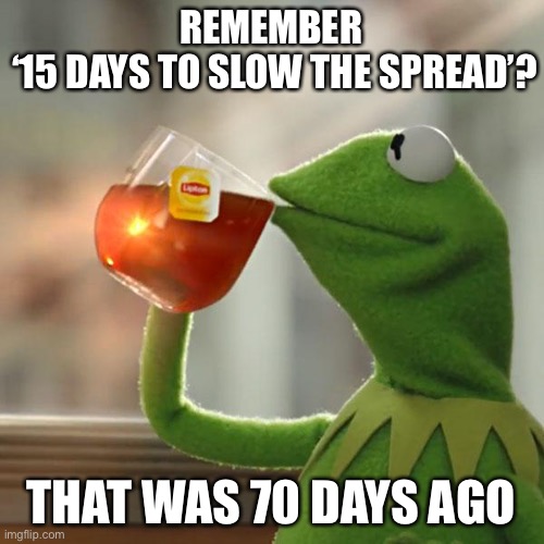 Just 2 more weeks.... | REMEMBER 
‘15 DAYS TO SLOW THE SPREAD’? THAT WAS 70 DAYS AGO | image tagged in but that's none of my business,covidiots,coronavirus | made w/ Imgflip meme maker