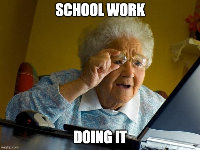 Grandma Finds The Internet | SCHOOL WORK; DOING IT | image tagged in memes,grandma finds the internet | made w/ Imgflip meme maker