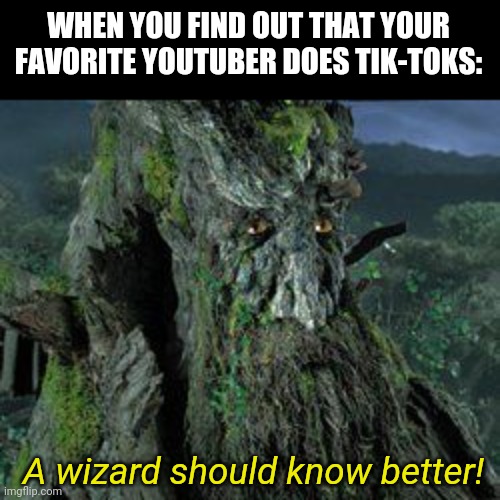 Hrroom-bara-hoom! There is no curse in Elvish, Entish, or the tounges of men for this treachery! | WHEN YOU FIND OUT THAT YOUR FAVORITE YOUTUBER DOES TIK-TOKS: A wizard should know better! | image tagged in treebeard | made w/ Imgflip meme maker