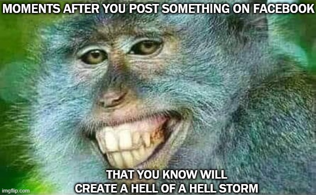 Facebook Monkey | MOMENTS AFTER YOU POST SOMETHING ON FACEBOOK; THAT YOU KNOW WILL CREATE A HELL OF A HELL STORM | image tagged in facebook,politics | made w/ Imgflip meme maker