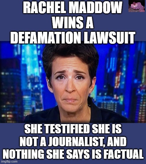 Why do people still watch her? | RACHEL MADDOW WINS A DEFAMATION LAWSUIT; SHE TESTIFIED SHE IS NOT A JOURNALIST, AND NOTHING SHE SAYS IS FACTUAL | image tagged in russia did it- rachel maddow | made w/ Imgflip meme maker