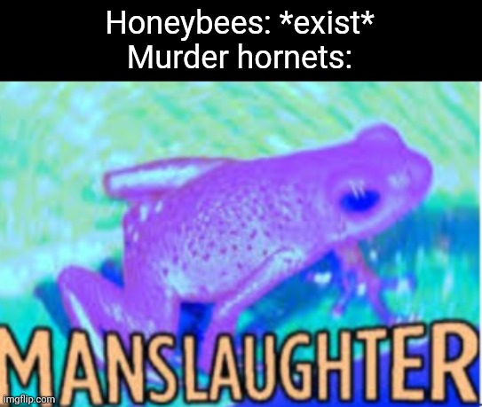 Homicidal bug freaks | Honeybees: *exist*
Murder hornets: | image tagged in manslaughter | made w/ Imgflip meme maker