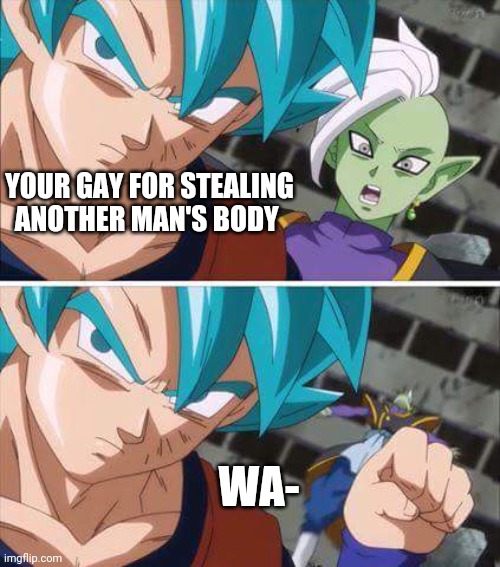 Goku hits zamasu | YOUR GAY FOR STEALING ANOTHER MAN'S BODY; WA- | image tagged in goku hits zamasu | made w/ Imgflip meme maker