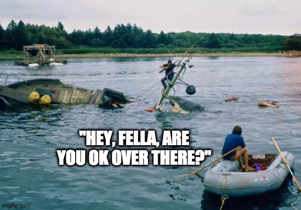 Trying to help | "HEY, FELLA, ARE YOU OK OVER THERE?" | image tagged in jaws | made w/ Imgflip meme maker