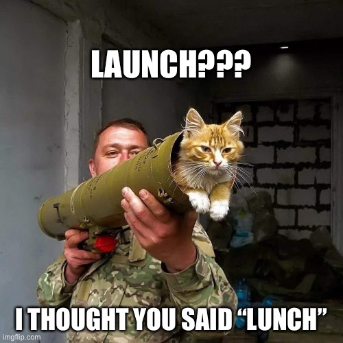 Launch not lunch | LAUNCH??? I THOUGHT YOU SAID “LUNCH” | image tagged in cat,rocket launcher,lunch | made w/ Imgflip meme maker