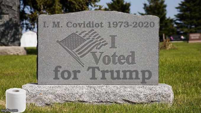 Covidiot tombstone | image tagged in covid 19 | made w/ Imgflip meme maker