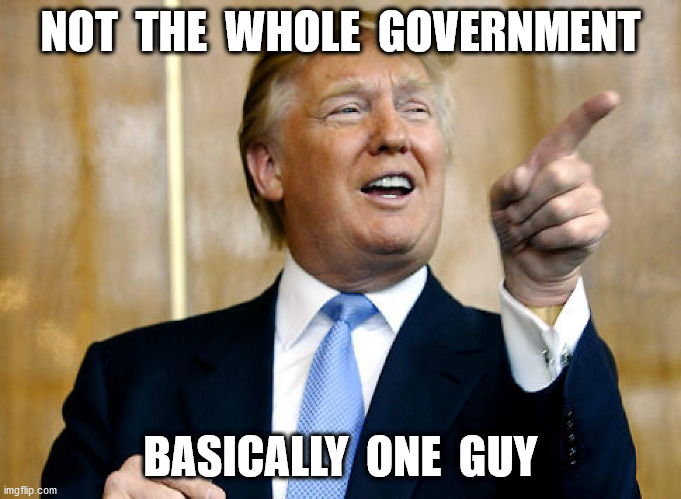 Donald Trump Pointing | NOT  THE  WHOLE  GOVERNMENT BASICALLY  ONE  GUY | image tagged in donald trump pointing | made w/ Imgflip meme maker