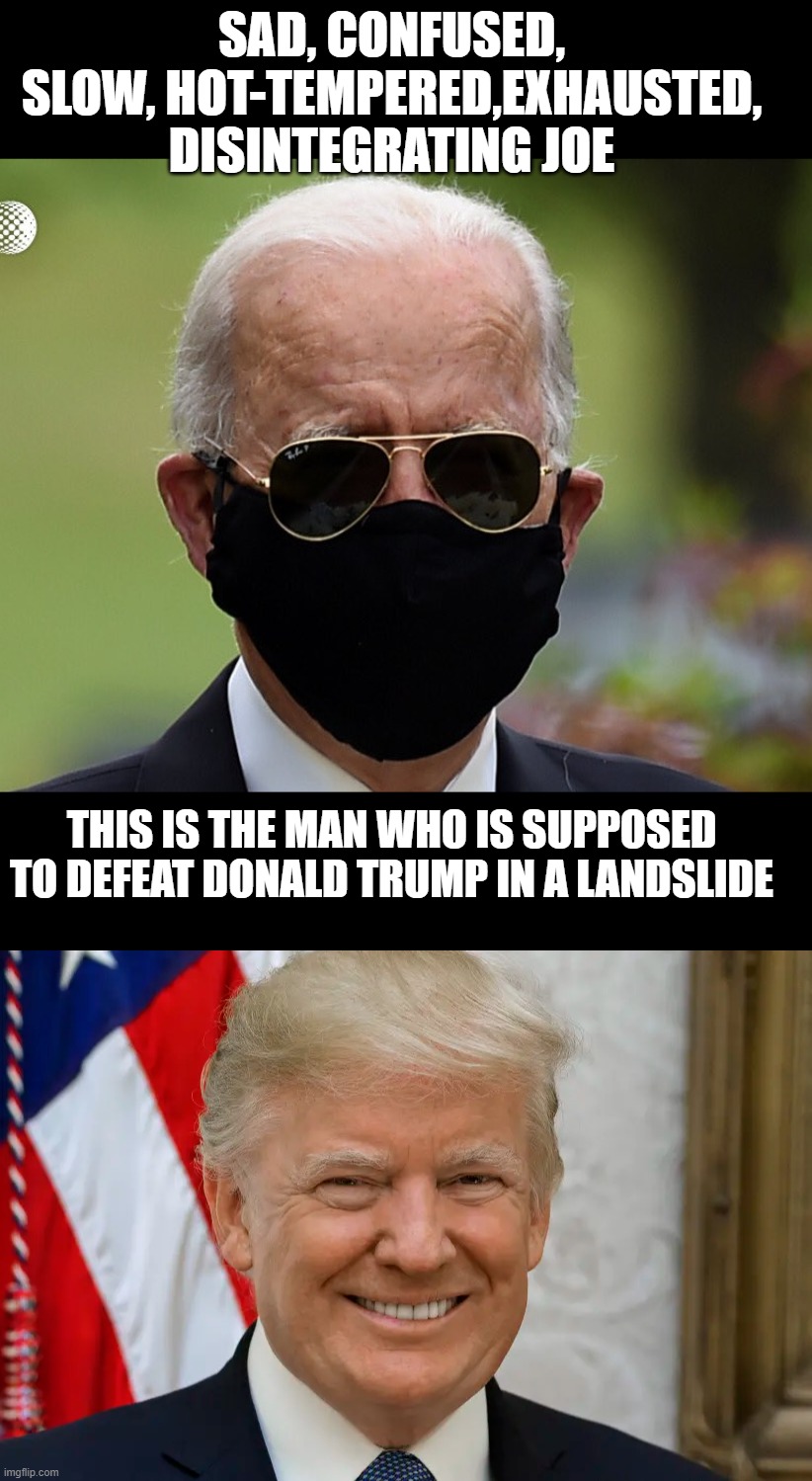 This Is Fossil Joe | SAD, CONFUSED, SLOW, HOT-TEMPERED,EXHAUSTED, DISINTEGRATING JOE; THIS IS THE MAN WHO IS SUPPOSED TO DEFEAT DONALD TRUMP IN A LANDSLIDE | image tagged in trump,biden,politics | made w/ Imgflip meme maker