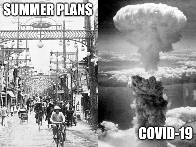 SUMMER PLANS; COVID-19 | image tagged in covid-19 | made w/ Imgflip meme maker