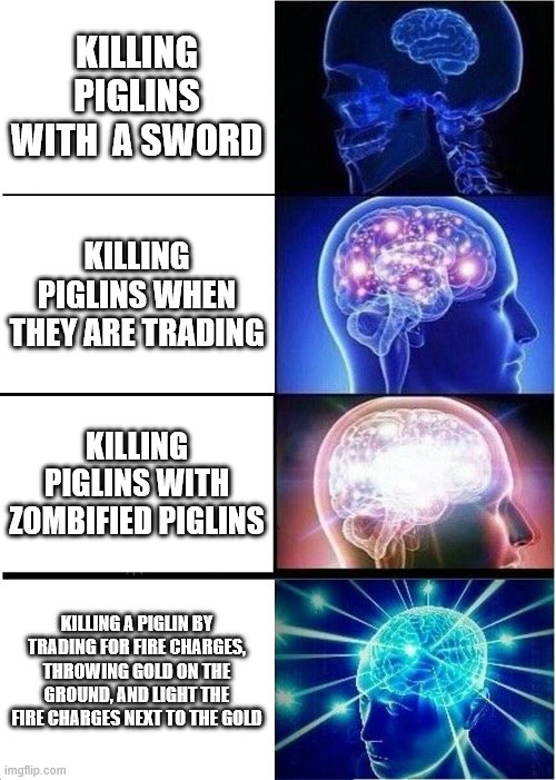 Expanding Brain Meme | KILLING PIGLINS WITH  A SWORD; KILLING PIGLINS WHEN THEY ARE TRADING; KILLING PIGLINS WITH ZOMBIFIED PIGLINS; KILLING A PIGLIN BY TRADING FOR FIRE CHARGES, THROWING GOLD ON THE GROUND, AND LIGHT THE FIRE CHARGES NEXT TO THE GOLD | image tagged in memes,expanding brain | made w/ Imgflip meme maker