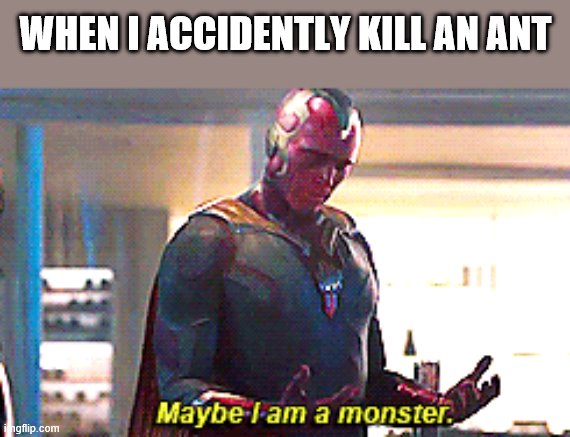 Maybe I am a monster | WHEN I ACCIDENTLY KILL AN ANT | image tagged in maybe i am a monster | made w/ Imgflip meme maker