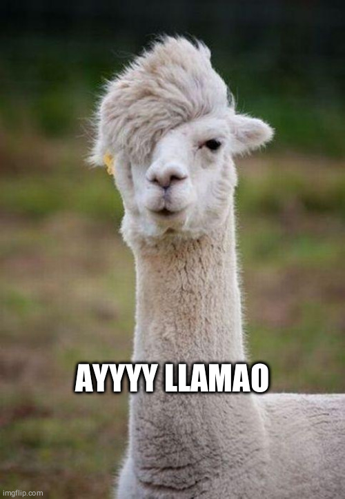 Emo Llama | AYYYY LLAMAO | image tagged in emo llama | made w/ Imgflip meme maker