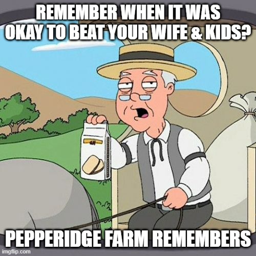pepperidge farm remembers | REMEMBER WHEN IT WAS OKAY TO BEAT YOUR WIFE & KIDS? PEPPERIDGE FARM REMEMBERS | image tagged in memes,pepperidge farm remembers,fun | made w/ Imgflip meme maker