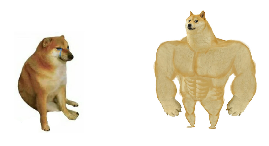 Example of Reaction frame. Swole Doge versus Cheems meme. Left-wing