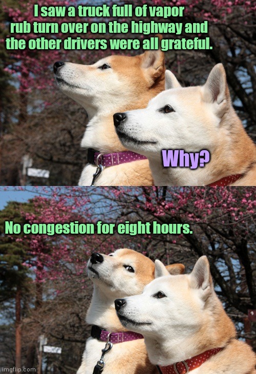 Bad pun dogs | I saw a truck full of vapor rub turn over on the highway and the other drivers were all grateful. Why? No congestion for eight hours. | image tagged in bad pun dogs,puns,jokes | made w/ Imgflip meme maker