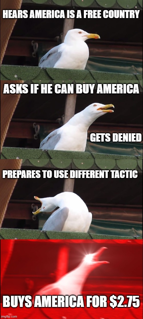 Inhaling Seagull Meme | HEARS AMERICA IS A FREE COUNTRY; ASKS IF HE CAN BUY AMERICA; GETS DENIED; PREPARES TO USE DIFFERENT TACTIC; BUYS AMERICA FOR $2.75 | image tagged in memes,inhaling seagull | made w/ Imgflip meme maker