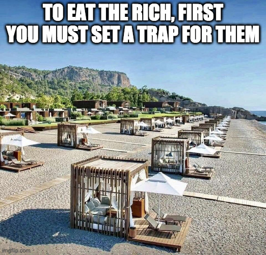 Wealth Trap | TO EAT THE RICH, FIRST YOU MUST SET A TRAP FOR THEM | image tagged in funny memes,rich | made w/ Imgflip meme maker