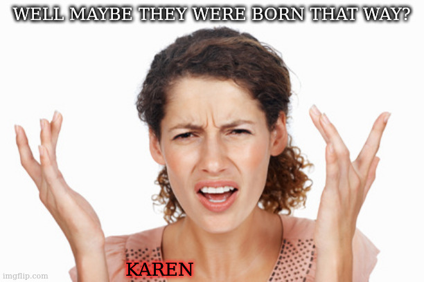 Indignant | WELL MAYBE THEY WERE BORN THAT WAY? KAREN | image tagged in indignant | made w/ Imgflip meme maker