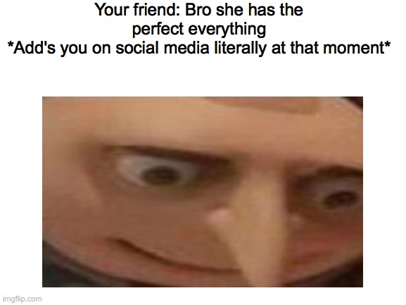 Your friend: Bro she has the perfect everything
*Add's you on social media literally at that moment* | image tagged in gru | made w/ Imgflip meme maker