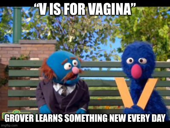 Grover | “V IS FOR VAGINA”; GROVER LEARNS SOMETHING NEW EVERY DAY | image tagged in grover,v | made w/ Imgflip meme maker