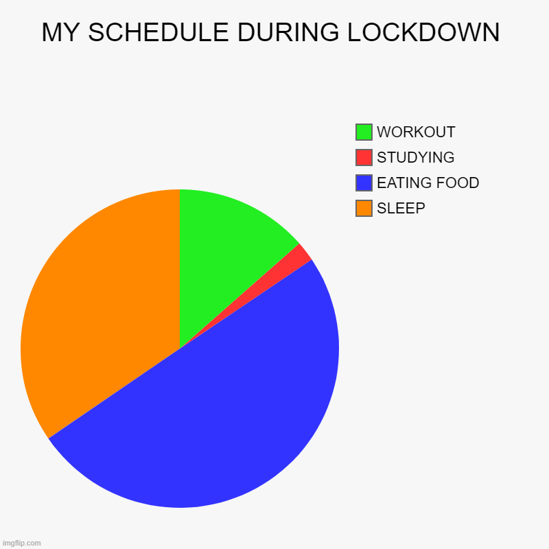 MY SCHEDULE DURING LOCKDOWN | SLEEP, EATING FOOD, STUDYING, WORKOUT | image tagged in charts,pie charts | made w/ Imgflip chart maker