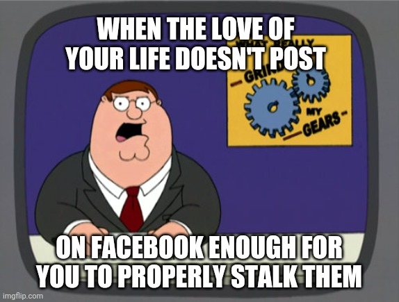 Peter Griffin News Meme | WHEN THE LOVE OF YOUR LIFE DOESN'T POST; ON FACEBOOK ENOUGH FOR YOU TO PROPERLY STALK THEM | image tagged in memes,peter griffin news | made w/ Imgflip meme maker