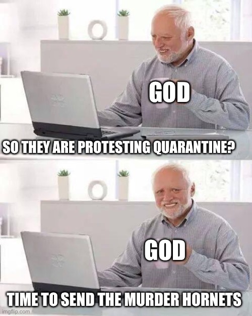 Hide the Pain Harold | GOD; SO THEY ARE PROTESTING QUARANTINE? GOD; TIME TO SEND THE MURDER HORNETS | image tagged in memes,hide the pain harold | made w/ Imgflip meme maker