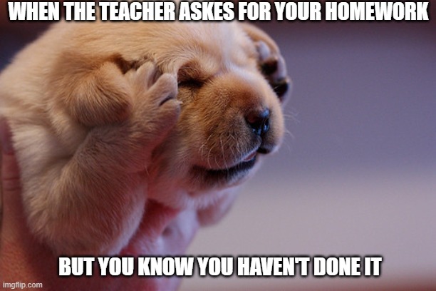 Uhh...the dog ate my homework! | WHEN THE TEACHER ASKES FOR YOUR HOMEWORK; BUT YOU KNOW YOU HAVEN'T DONE IT | image tagged in intensesweating,meme,excuse | made w/ Imgflip meme maker