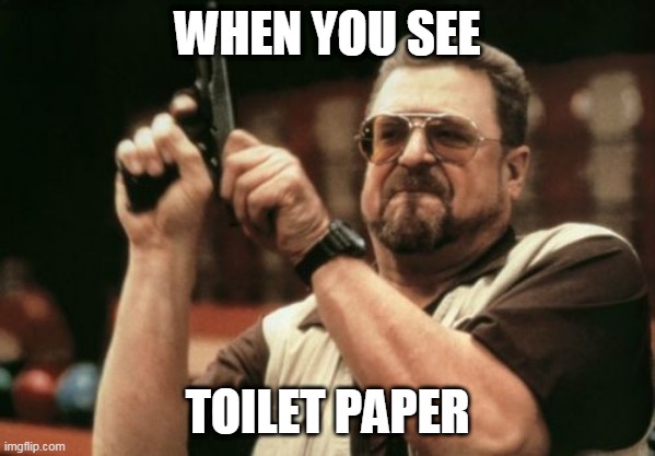 Am I The Only One Around Here Meme | WHEN YOU SEE; TOILET PAPER | image tagged in memes,am i the only one around here | made w/ Imgflip meme maker