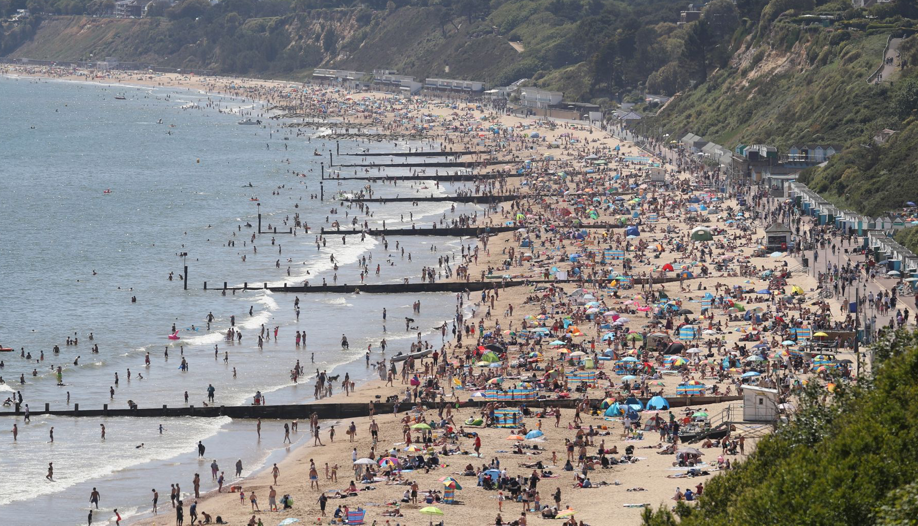 Crowded beach Blank Meme Template