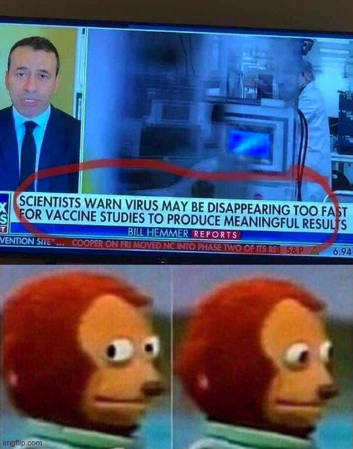 What? | image tagged in fox news,monkey puppet,what,what did i just read,vaccines | made w/ Imgflip meme maker