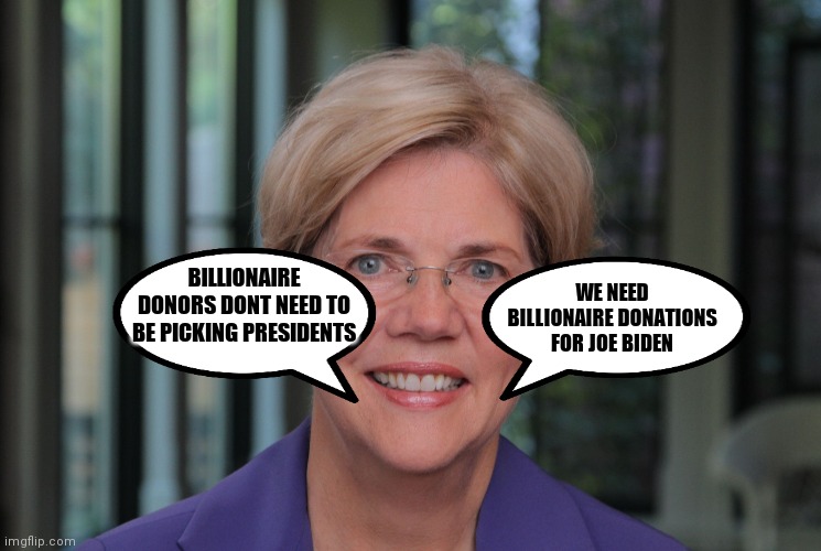 Elizabeth Warren 2 | WE NEED BILLIONAIRE DONATIONS FOR JOE BIDEN; BILLIONAIRE DONORS DONT NEED TO BE PICKING PRESIDENTS | image tagged in elizabeth warren 2 | made w/ Imgflip meme maker