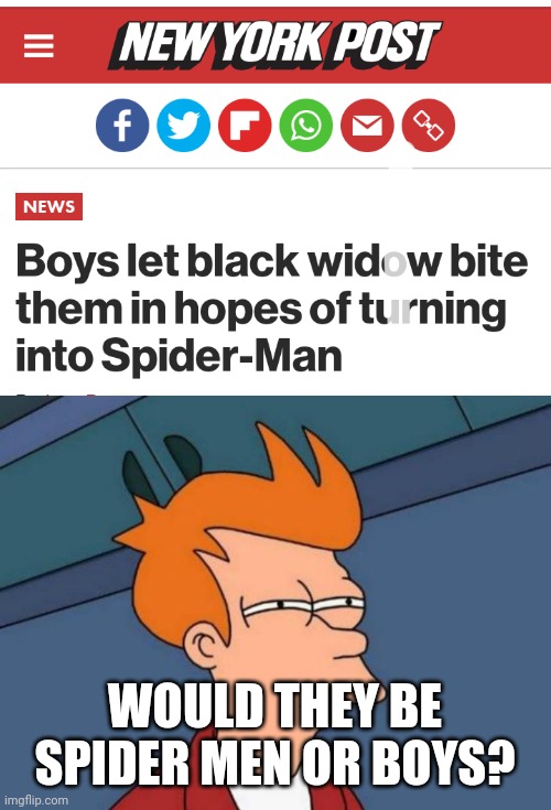 WOULD THEY BE SPIDER MEN OR BOYS? | image tagged in memes,futurama fry,spider man | made w/ Imgflip meme maker
