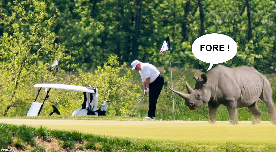 Fore ! | image tagged in donald trump,golf,rhino | made w/ Imgflip meme maker
