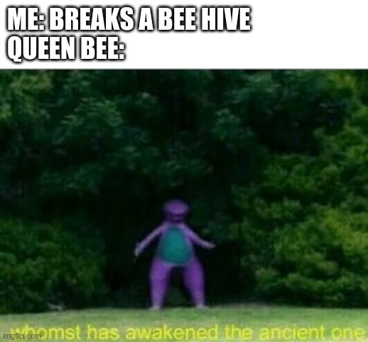 Whomst has awakened the queen bee | ME: BREAKS A BEE HIVE
QUEEN BEE: | image tagged in whomst has awakened the ancient one,terraria,terraria journey's end,not the bees,bee,bee funny | made w/ Imgflip meme maker