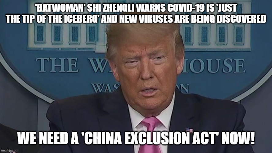 'Batwoman' warns COVID-19 is 'just the tip of the iceberg'. We Need A 'China Exclusion Act' Now! | 'BATWOMAN' SHI ZHENGLI WARNS COVID-19 IS 'JUST THE TIP OF THE ICEBERG' AND NEW VIRUSES ARE BEING DISCOVERED; WE NEED A 'CHINA EXCLUSION ACT' NOW! | image tagged in if only you knew how bad things really are | made w/ Imgflip meme maker