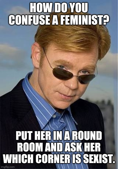 bad Pun David Caruso | HOW DO YOU CONFUSE A FEMINIST? PUT HER IN A ROUND ROOM AND ASK HER WHICH CORNER IS SEXIST. | image tagged in bad pun david caruso | made w/ Imgflip meme maker