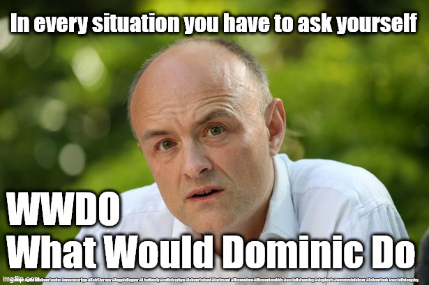 WWDO - What Would Dominic Do | In every situation you have to ask yourself; WWDO
What Would Dominic Do; #Labour #gtto #LabourLeader #wearecorbyn #KeirStarmer #AngelaRayner #LisaNandy #cultofcorbyn #labourisdead #toriesout #Momentum #Momentumkids #socialistsunday #stopboris #nevervotelabour #Labourleak #socialistanyday | image tagged in dominic cummings,corona virus covid 19,lockdown stay safe,nhs ppe brexit,keir starmer ed davey boris,bbc sky news | made w/ Imgflip meme maker